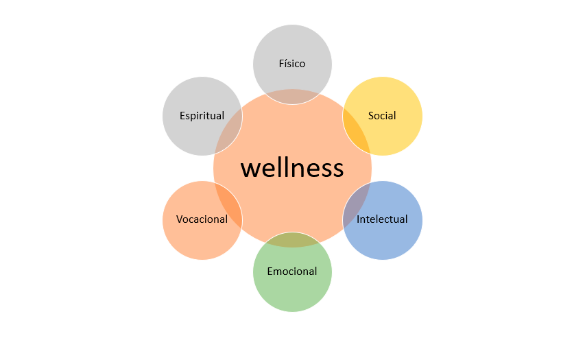 Do Fitness ao Wellness